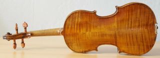 old violin 4/4 geige viola cello fiddle label MATTEO GOFFRILLER 1484 5