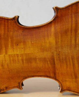 old violin 4/4 geige viola cello fiddle label MATTEO GOFFRILLER 1484 6