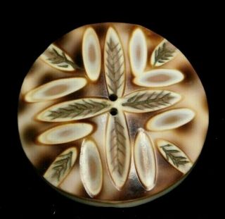 Antique Vtg Button Carved & Engraved Tiger Cowrie Shell By Drake J1