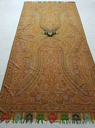Antique French Paisley Kashmiri Shawl Woolen Multi Color 335x164cm