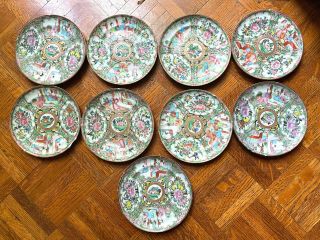 Chinese Rose Medallion Porcelain Plates (set Of 9),  Qing Dynasty Circa 1850 - 1899