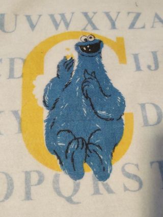Vintage 1980 ' s Sesame Street ABCs Twin Blanket Cookie Monster Oscar Chatham 3