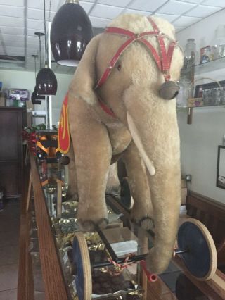 Vintage Steiff Mohair Elephant On Wheels Pull Toy