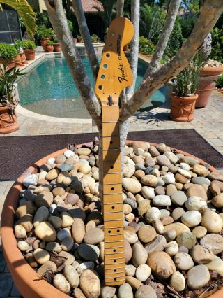 Fender Stratocaster Vintage 1977 Neck Usa