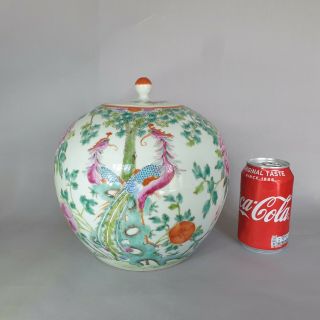 Fine Large Chinese 19th C Famille Rose Phoenix Jar & Cover - Qianlong Mark