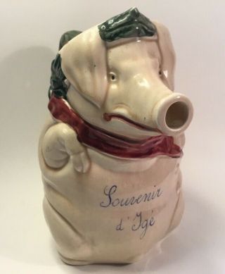 Antique French Majolica Souvenir Cochon Pig Pitcher By Orchies C.  1895 Cool Piece