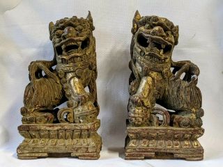 Large Pair Antique Chinese Fu Foo Lions Temple Dogs Carved Gilt Wood