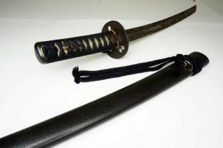 Sign & Dated 1559AD: Japanese Samurai Wakizashi Sword SUKECHIKA助近 Nihonto Katana 3