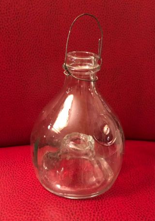 Antique Glass Wasp/yellow Jacket Bee Trap,  Hanging Type,  Clear Four - Part Molded