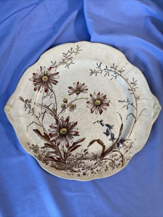 Antique J.  H.  Davis Daisy Brown Transfer Ware Dinner Plate 10”x11”