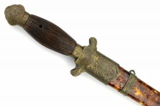 Attractive 19th C.  Chinese Jian Sword In Tortoise Shell Scabbard