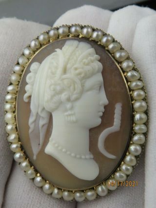 Antique Victorian 14k Yellow Gold Carved Shell And Seed Pearl Cameo Brooch