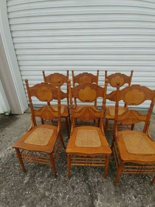6 Matching Oak Press Back Chairs