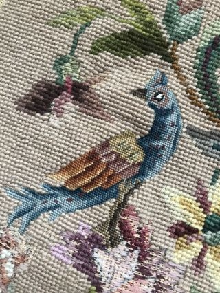 Vintage Antique Needlepoint Floral Canvas With Birds William And Mary S.  8.