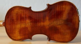 Very Old Labelled Vintage Violin " Laurentius Storioni " Fiddleァイオリン Geige 1463