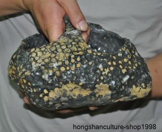 8 " Rare Old China Hongshan Culture Unique Meteorite Stone Fossil Statue