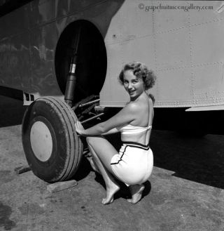 1954 Bunny Yeager Pin - Up Camera Negative Beauty Queen Marcia Valibus At Plane Nr