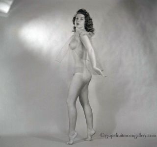 1950s Bunny Yeager Pin - Up Camera Negative Pretty Nude Ginger Martin Home Studio