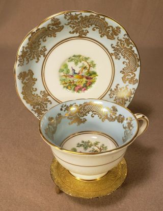 Vintage - Eb Foley Bone China - Made In England Blue,  Gold Tea Cup W Stand