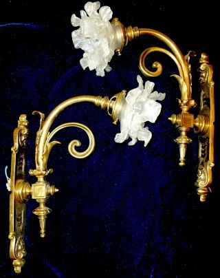 Large French Antique Gas Bronze/ Brass Wall Sconces / White Rose Shades