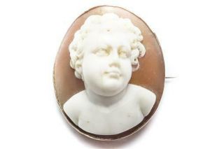Lovely Antique 9k Gold Highly Domed Carved Cherub Shell Cameo Pin / Brooch