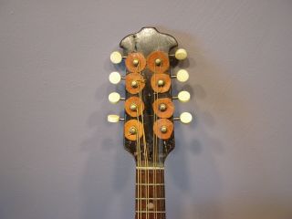 Antique Inlaid Flat Back 8 - String Mandolin 6