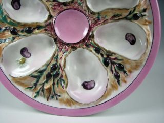 Union Porcelain Greenpoint,  York American Oyster Plate Antique 3