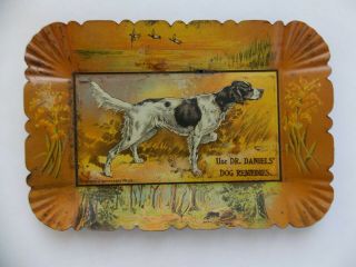 Antique Vintage A.  C.  Daniels Advertising Tip Tray Dog Veterinary Medicine 1900 