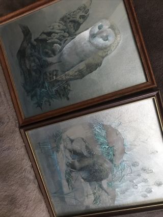 2x Vintage Reflective Foil Pictures Otters,  Owl - Signed Audrey North 10 X 8