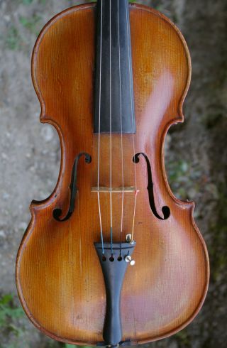 Antique Bird Eye Maple Violin Repaired By Josef Jaros