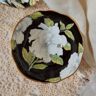 Vintage PARAGON Bone China Tea Cup & Saucer White Cabbage Rose on Black w/ Gold 5