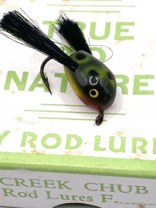 Vintage Rare Creek Chub Bait Co.  Fly Rod Dingbat Frog Fishing Lure