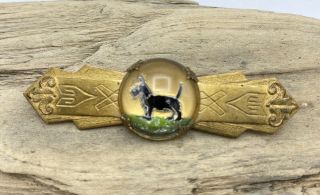 Rare Cute Antique Vintage Scotty Dog In Glass Bubble On Brass Pin Brooch