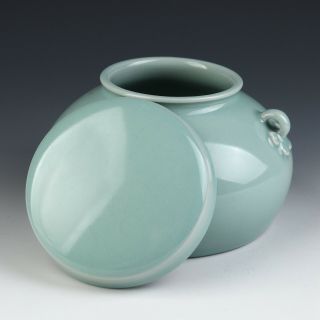 Antique Chinese Porcelain Tea Caddy 5