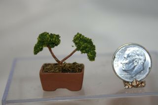 Miniature Dollhouse Vintage Artisan Asian Bonsai Tree Plant 1:12 Nr