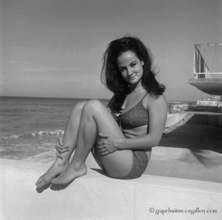 Bunny Yeager 1966 Pin - Up Camera Negative Pretty Bathing Beauty Bikini Model Hot