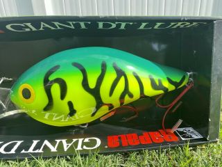 Rapala Giant DT Lure Display 