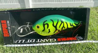 Rapala Giant DT Lure Display 