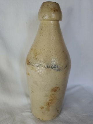 Antique 10 " Stoneware Bottle Hollenbeck & Co Old Crock Jug Vtg