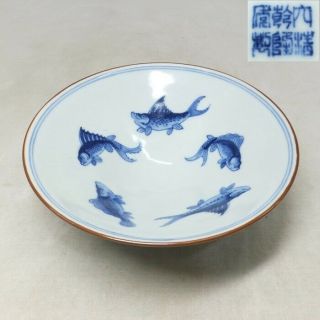B742: Chinese Tea Bowl Of Fine Blue - And - White Porcelain W/fish Painting And Sign