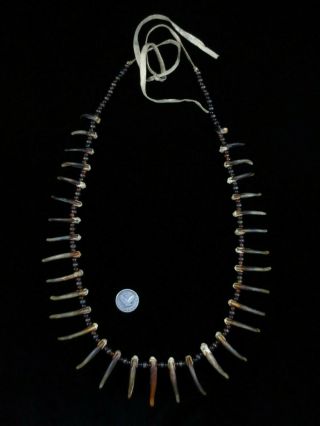 Antique Nez Perce Indian Necklace
