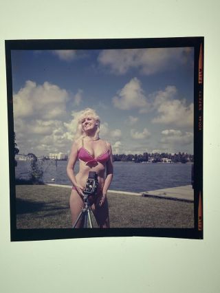Vintage Sexy Bunny Yeager Pin - Up Self Portrait Color Film Transparency