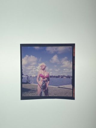 Vintage Sexy Bunny Yeager Pin - up Self Portrait Color Film Transparency 2