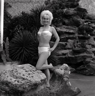 Bunny Yeager 1966 Camera Negative Pretty Blonde Bathing Beauty Pin - Up In Bikini