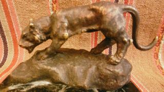 Antique Bronze Figure Of A Tiger Lion With Marble Base Signed