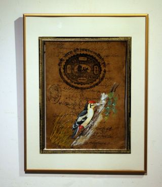 Antique Folk Art Painting Jaipur India Document Woodpecker Framed C1910
