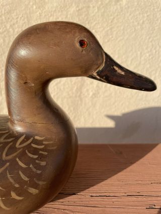 1920’s - 1940’s California West Coast Pintail Hen Vintage Duck Decoys