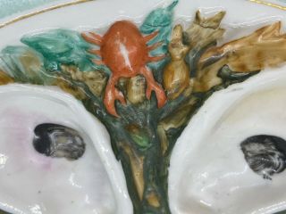 Antique Union Porcelain Oyster Plate 19th Century 5