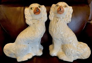 Large Antique Staffordshire Spaniel Dogs