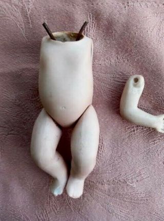 Antique Doll Grace Putnam All Bisque Small Dream Baby Torso Arm Leg
